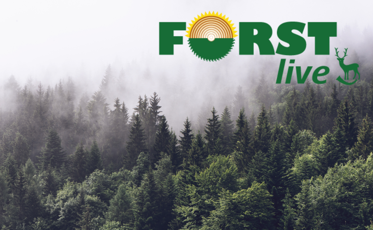 Wald von oben mit Nebel im Hintergrund und "FORST LIVE" Logo oben rechts