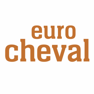 EC Logo Quadrat