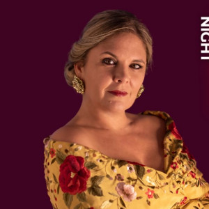 Flamenco Night